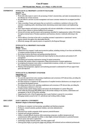 Assignment Of Intellectual Property Agreement Intellectual Property Resume Samples Velvet Jobs