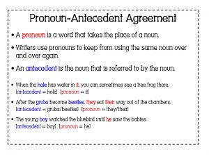 Correct Pronoun Antecedent Agreement 6th Grade English With Mr T Pronoun Antecedent Agreement Part 2