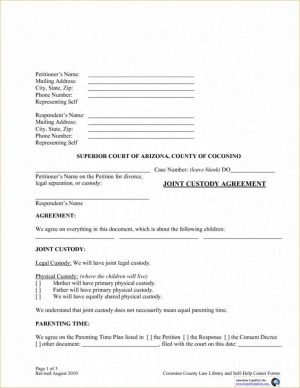 Custody Agreement Sample Joint Custody Agreement Forms Kentucky