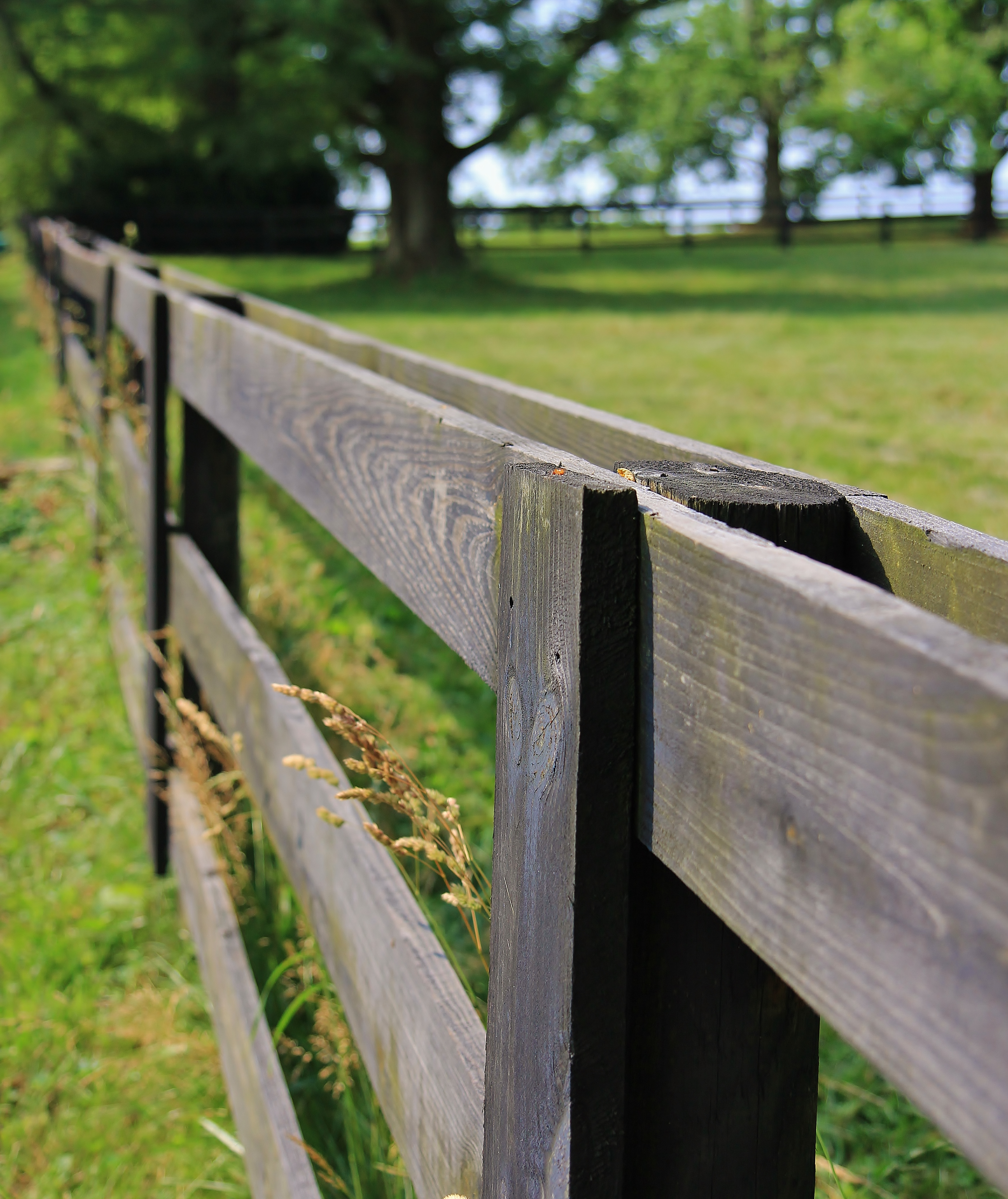 Fence Easement Agreement Maryland Fence Laws Adverse Possession Longman Van Grack Llc