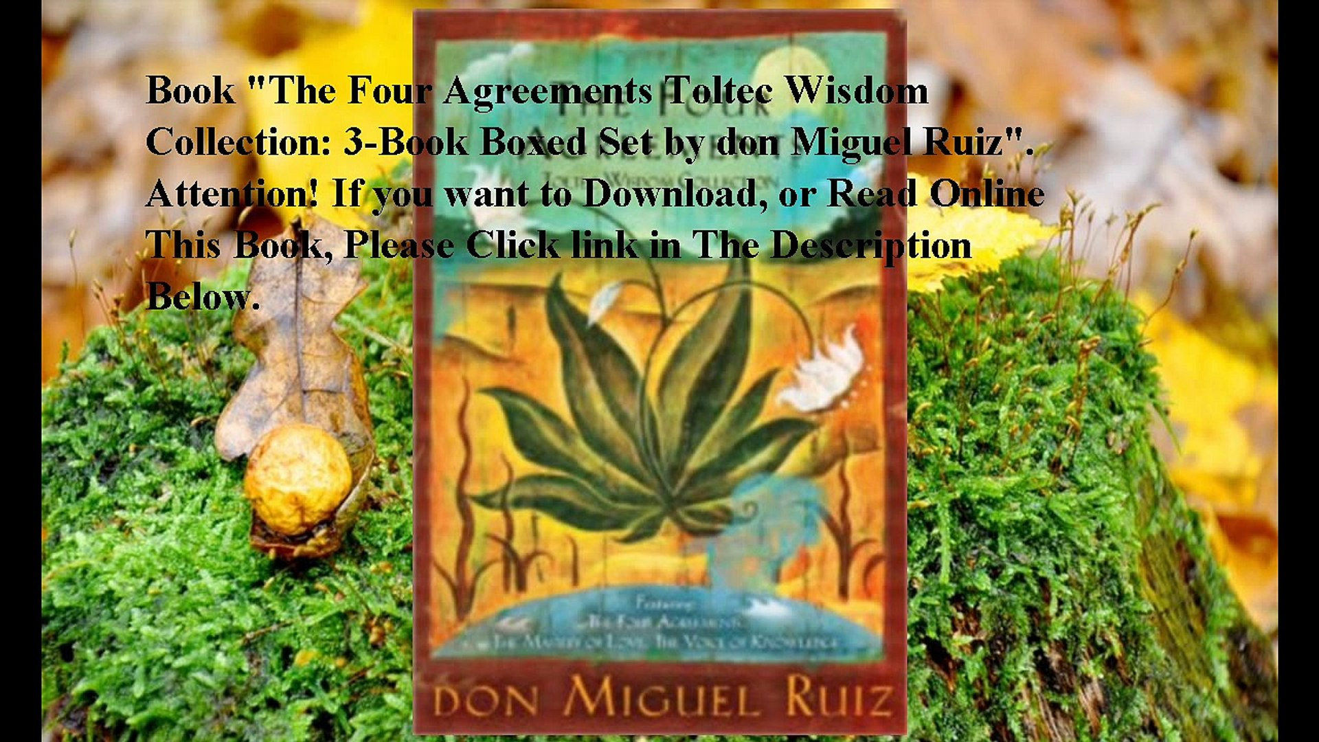 Four Agreements Book Free Download Download The Four Agreements Toltec Wisdom Collection 3 Book Boxed Set Ebook Pdf