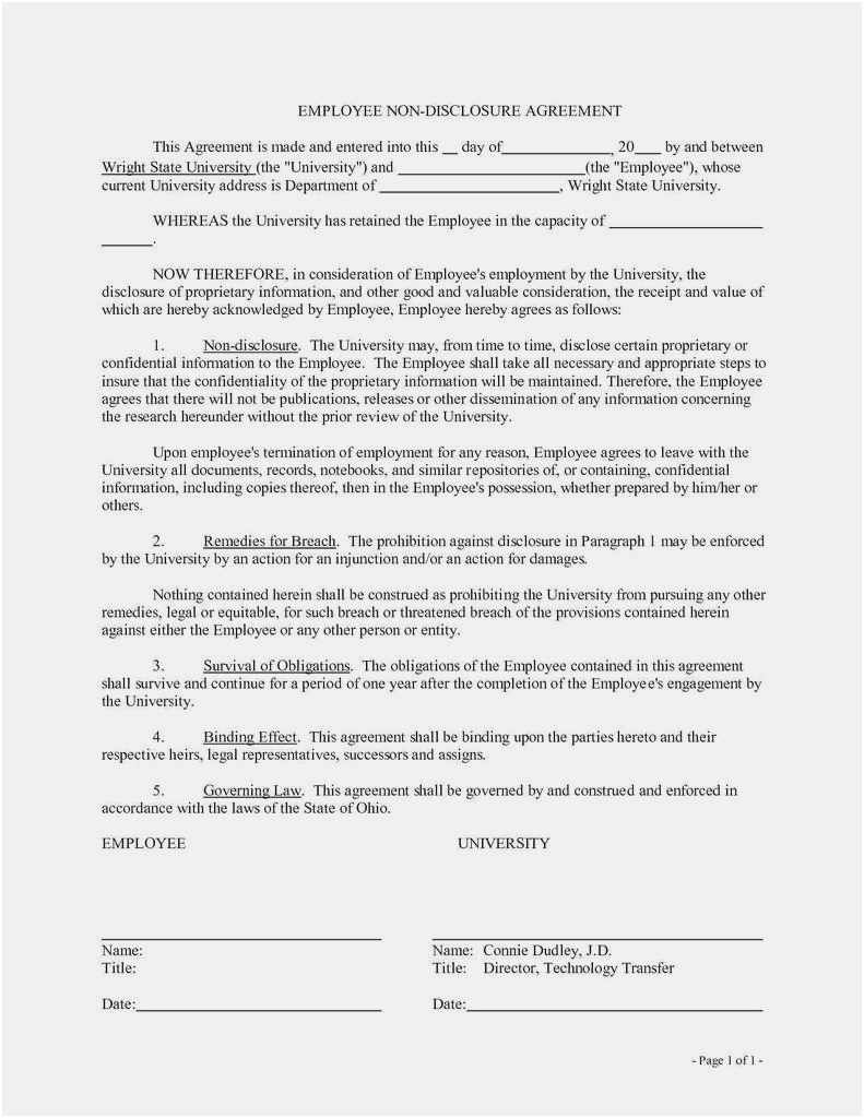 Free Non Disclosure Agreement Form Download 50 Nda Template Professional Professional Template Example