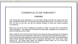 Lawyer Lease Agreement Lawyer For Nyc Commercial Lease Agreement 02 Best Real Estate