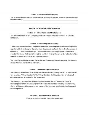 Llc No Operating Agreement Download Amendment To Llc Operating Agreement Style 5 Template For