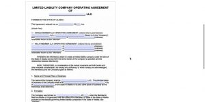 Llc Operating Agreement Form Alaska Llc Operating Agreement Template Pdf Word