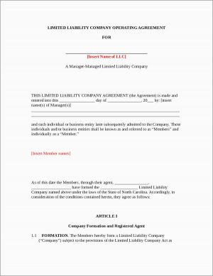 Llc Operating Agreement Form Free Operating Agreement Template Great 30 Professional Llc