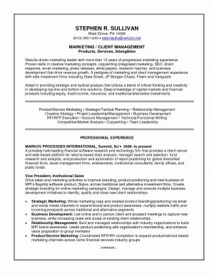 Online Marketing Agreement 010 Employment Contract Template Free Ideas Rebate Agreement Sample