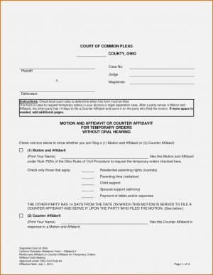 Ontario Legal Separation Agreement Template Legal Agreement Form Special 15 Free Legal Separation Forms Me