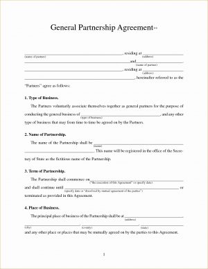 Partnership Agreement Pdf Download 004 Business Partnership Agreement Template Contract Beautiful Ideas