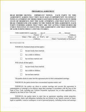 Prenuptial Agreement Form Pdf Prenup Template Free Of 9 Sample Prenuptial Agreements