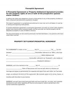 Prenuptial Agreement Form Pdf Prenuptial Agreement Form Pdf Download