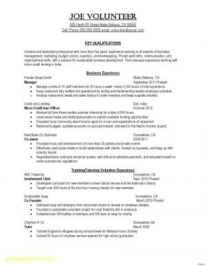 Professional Services Agreement 008 Project Management Consultant Contract Template Professional