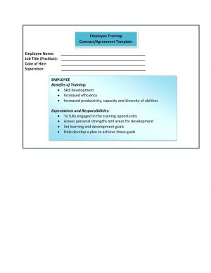 Professional Services Agreement 012 Plan Template Employee Training Worddule Contract Sample