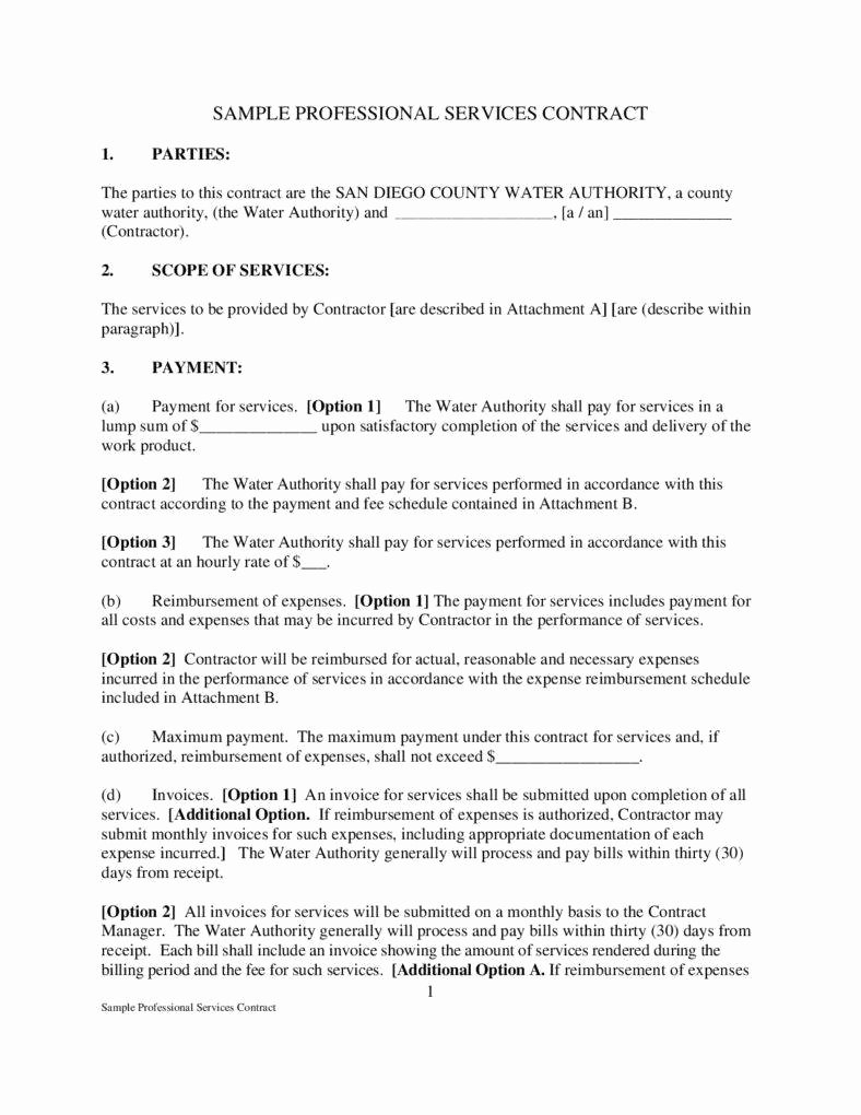 Professional Services Agreement 28 Inspirational Professional Services Agreement Template Example