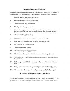 Pronoun Antecedent Agreement Exercises Pronoun Antecedent Worksheetdoc