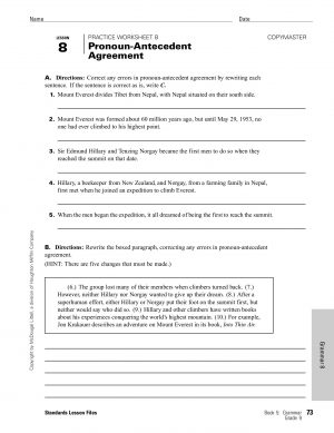 Pronoun Antecedent Agreement Worksheet Lesson Student Lesson Summary Copymaster 8 Pronoun Pages 1 3