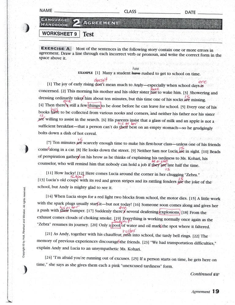 Pronoun Antecedent Agreement Worksheets Pronoun Antecedent Agreement