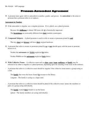 Pronoun Antecedent Agreement Worksheets Singular And Plural Pronoun Singular And Plural Pronouns Worksheets