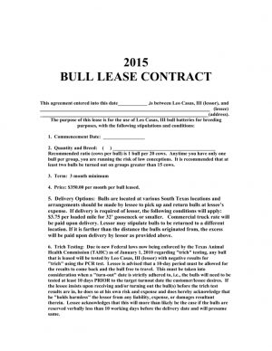 Rental Agreement Contract Bull Lease Agreement