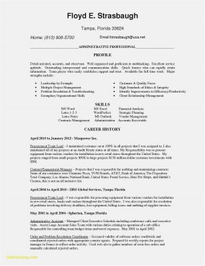Repurchase Agreement Example Free Download 50 Audit Plan Template Sample Free Professional