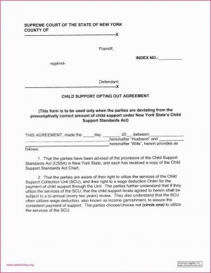 Sample Of Child Custody Agreement Child Support Letters Sample 650841 Child Support Letter