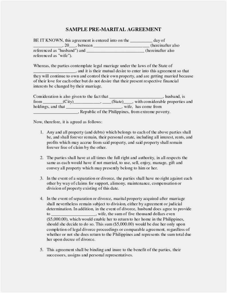 Sample Settlement Agreement Free Collection 59 Divorce Settlement Agreement Template Example