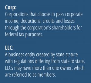 Sample Shareholder Agreement S Corp Independent Contractor Physician Llc Or S Corp Apollomd