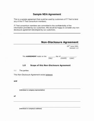 Simple Confidentiality Agreement Free Ndae Nz Non Disclosure Agreement New Zealand Generic Unique