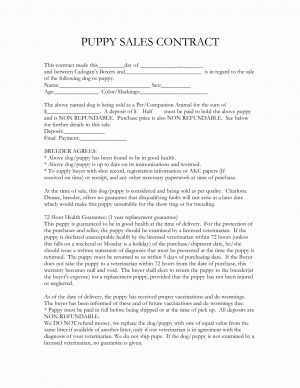 Simple Sales Agreement Template Vehicle Sale Agreement With Payments Lividrecords