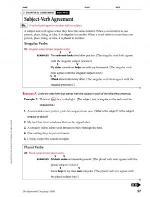 Subject Verb Agreement For Indefinite Pronouns Chapter 8 Agreement Subject Verb Agreement Pages 1 12 Text